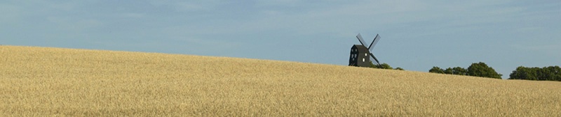 pagenmill.jpg