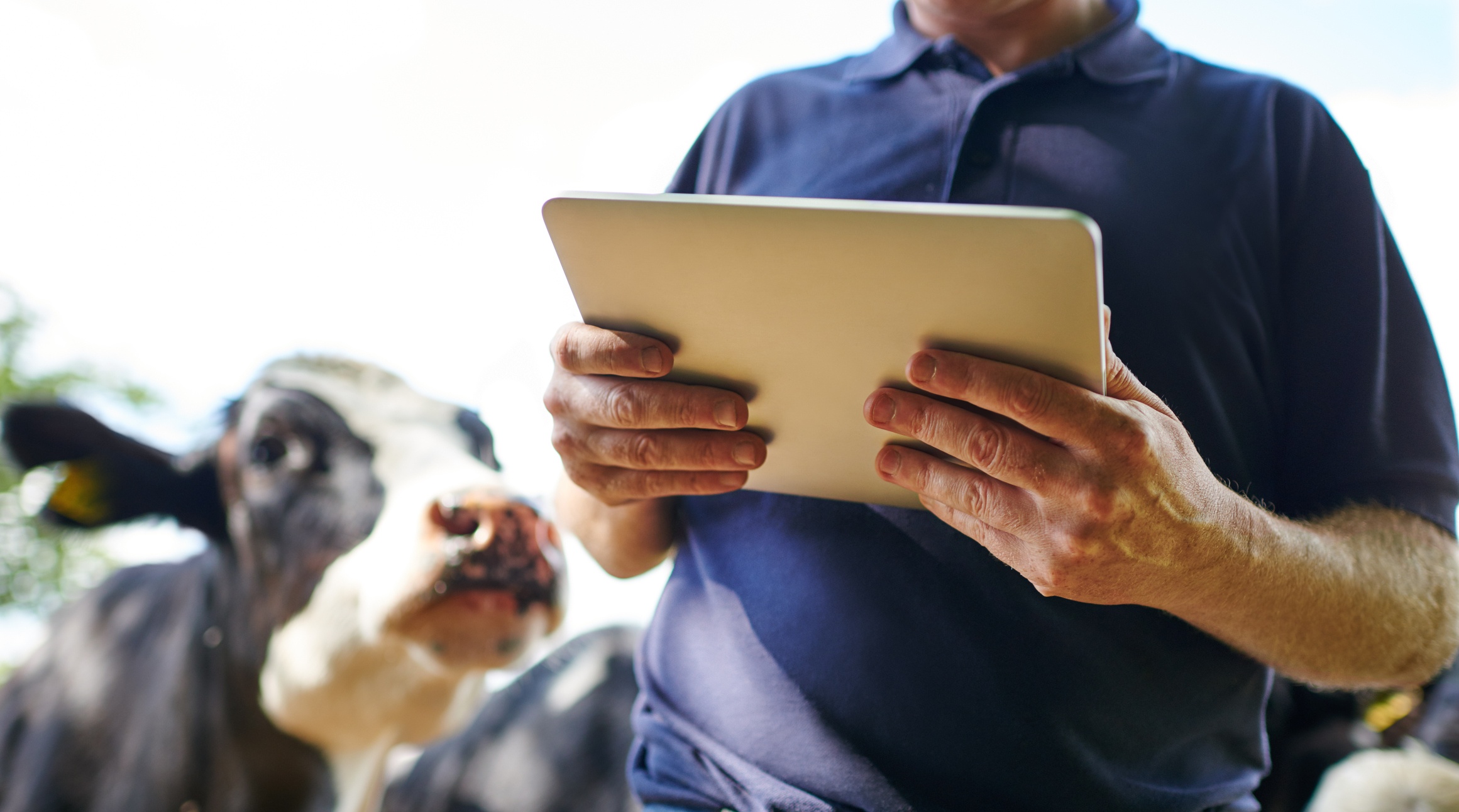 farmer tablet GettyImages-887310752