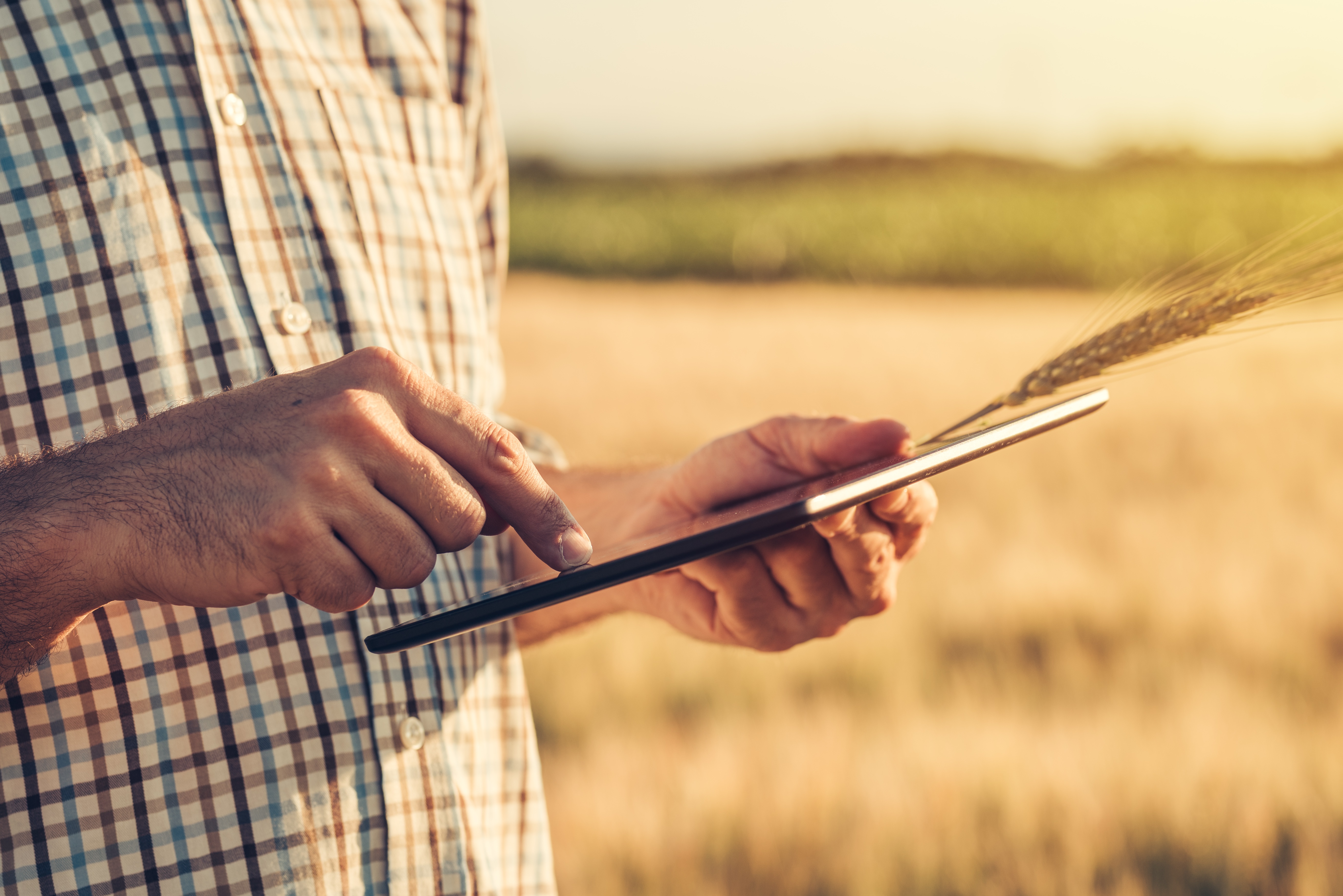 farmer tablet2-GettyImages-700268390