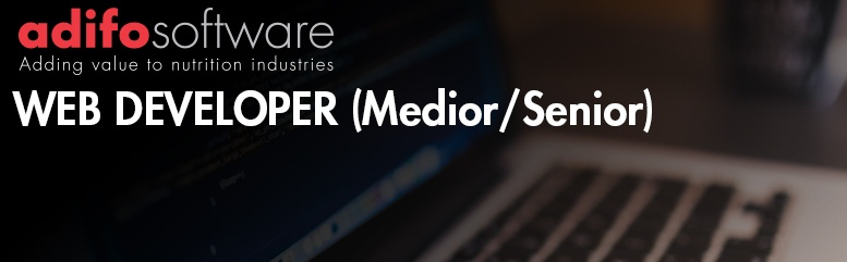 web developer-1