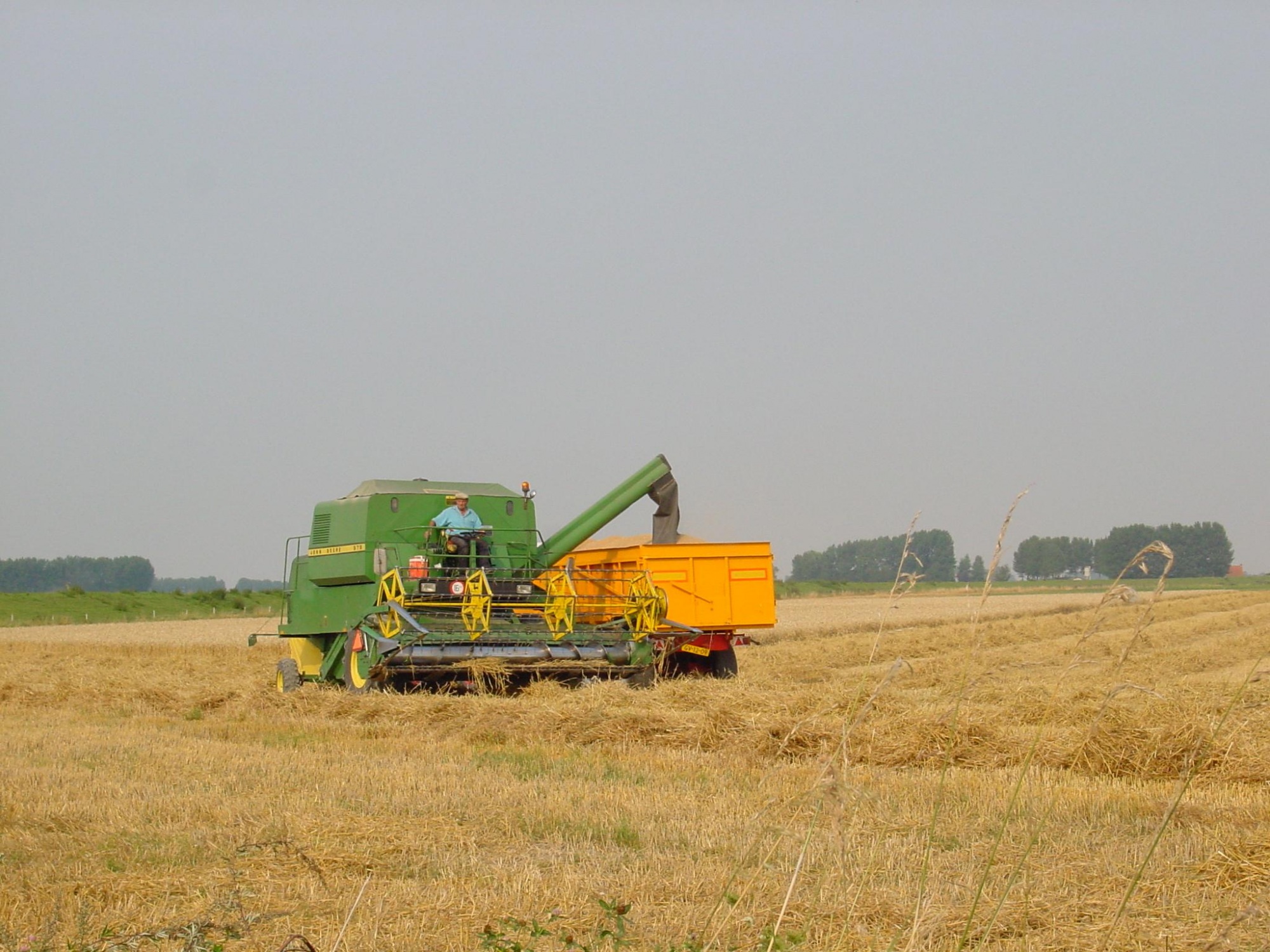 Feed sector-specific logistics and financials